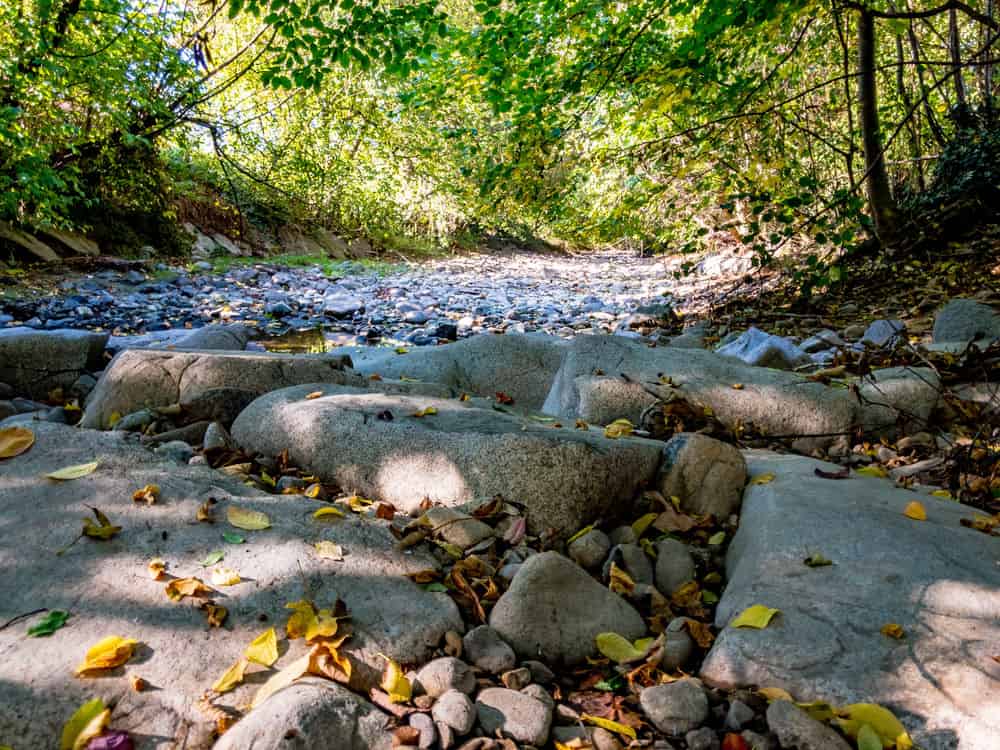 Dry Creek Beds image