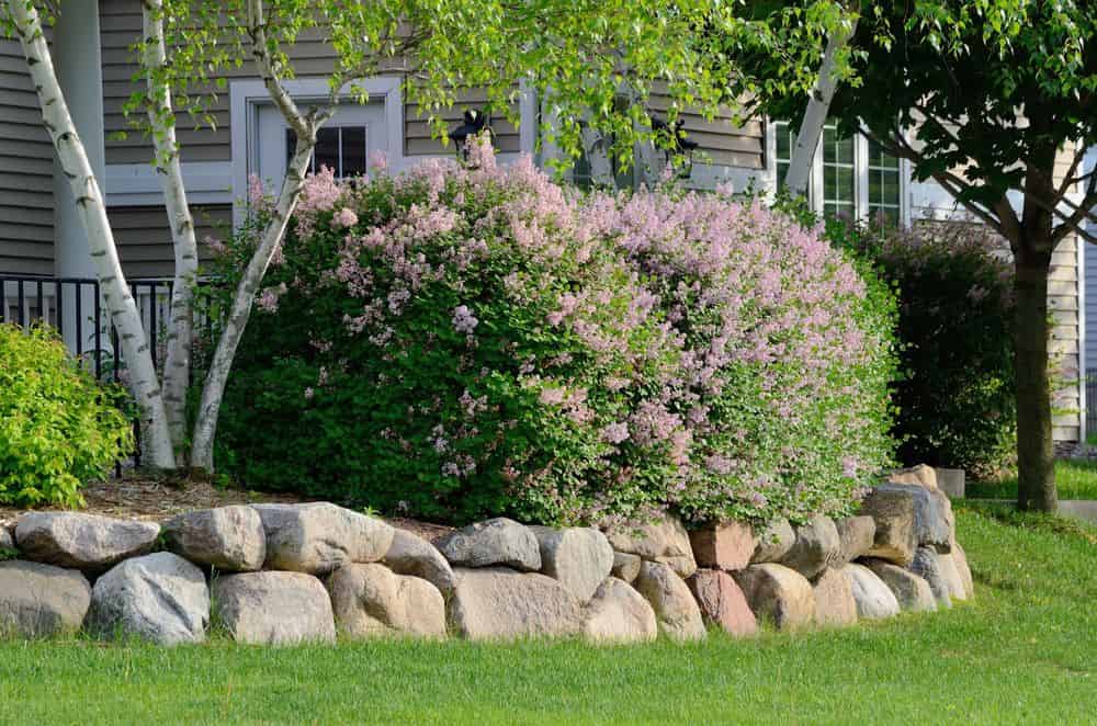 Retaining Walls image