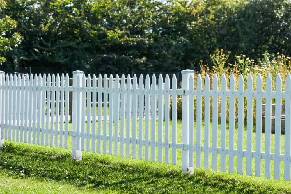 Fencing image