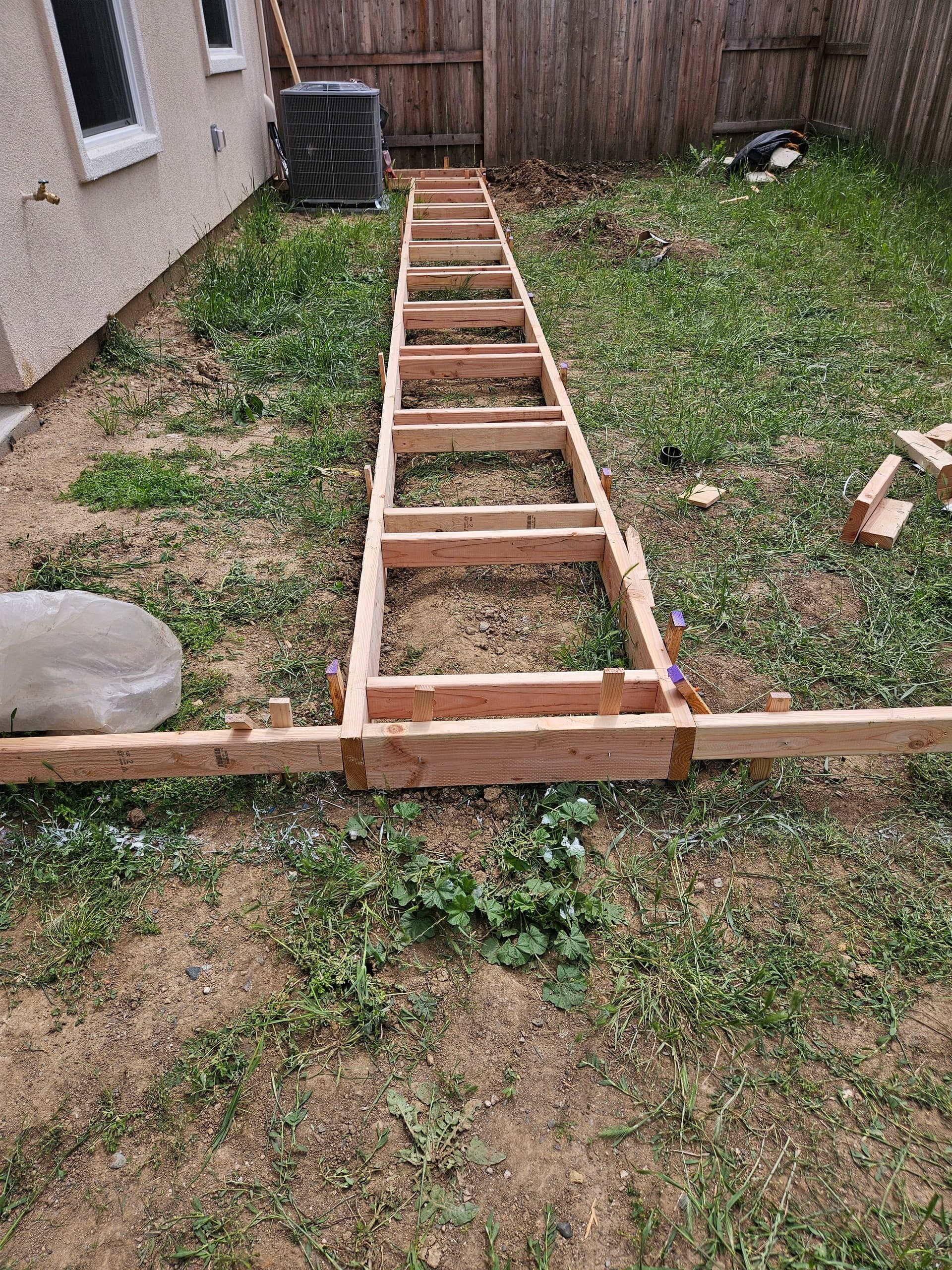New Build Backyard Gets Artificial Turf Concrete and Fruit Trees image