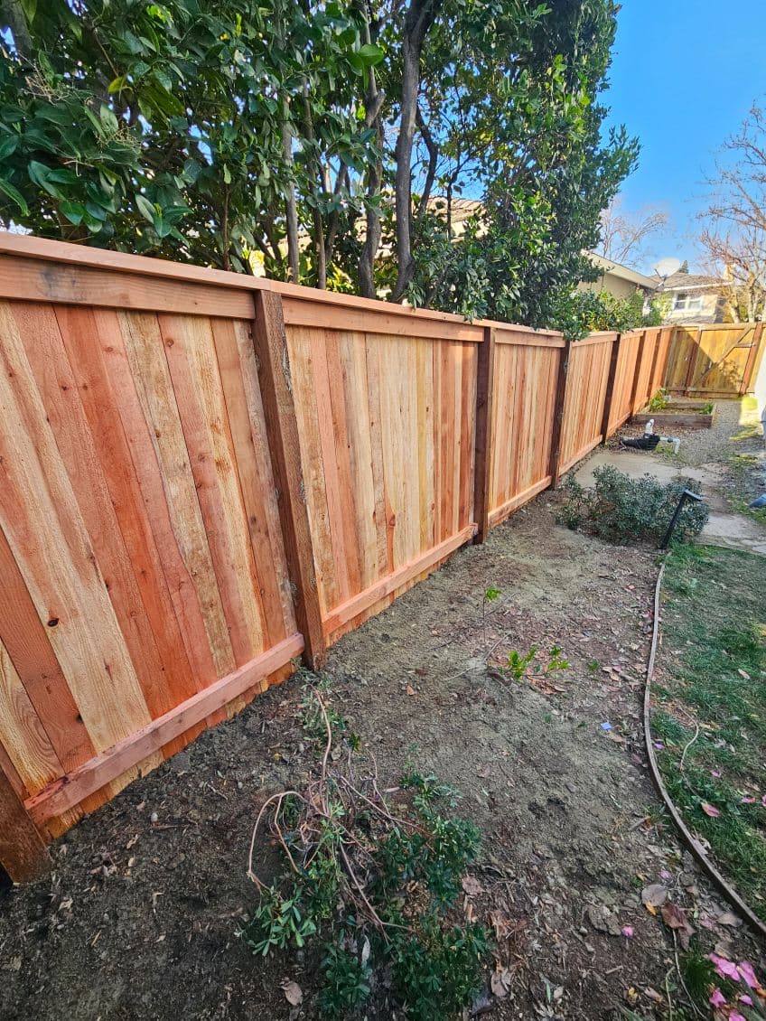 Backyard Fence Replacement