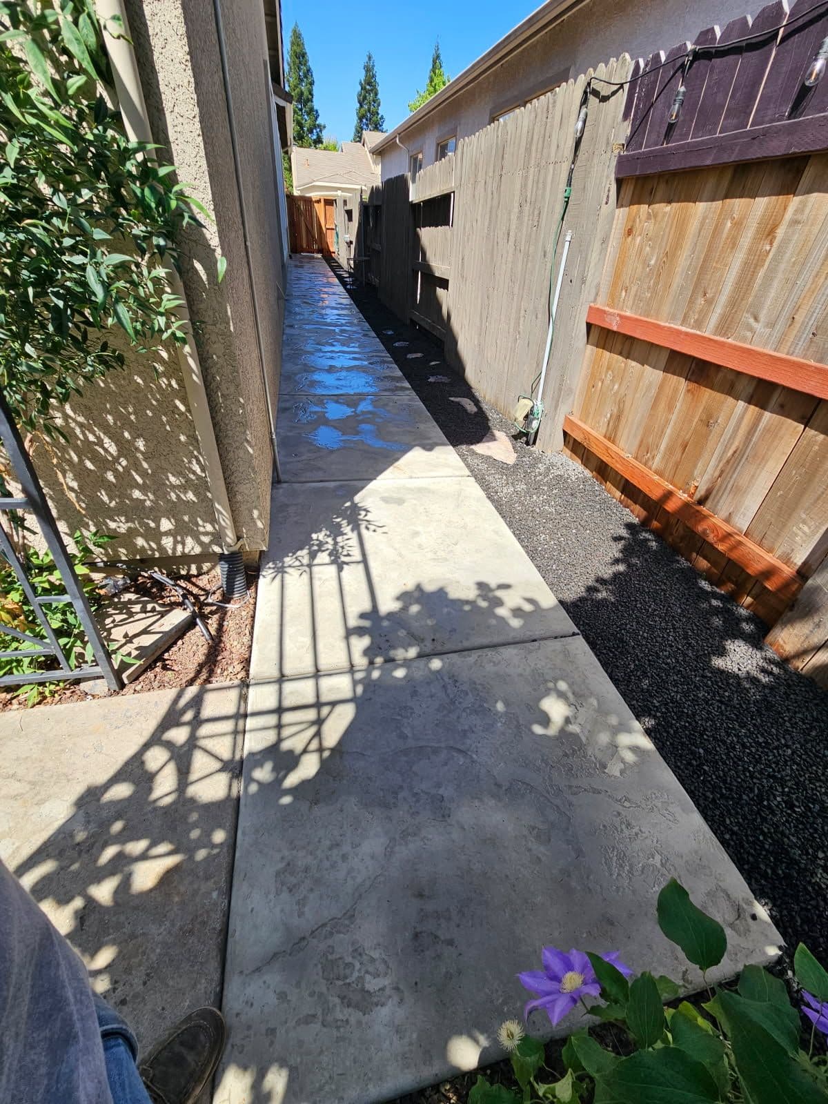 Side Yard Concrete Walkway Installation