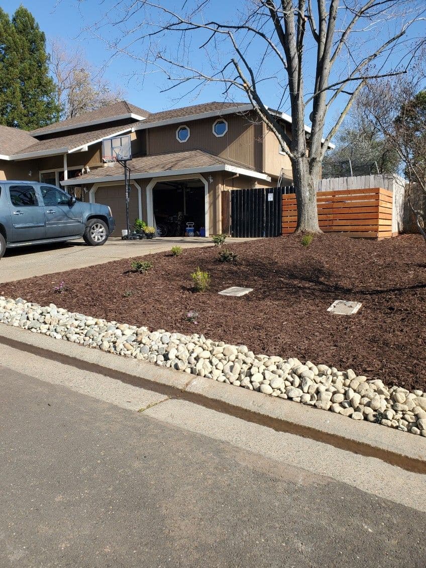 Front Yard Landscaping Transformation image