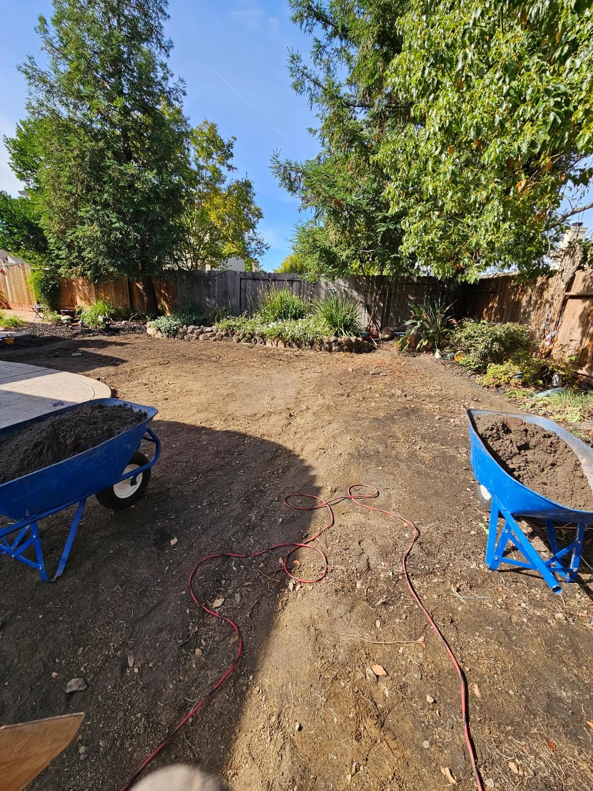 Backyard Transformation with New Irrigation System