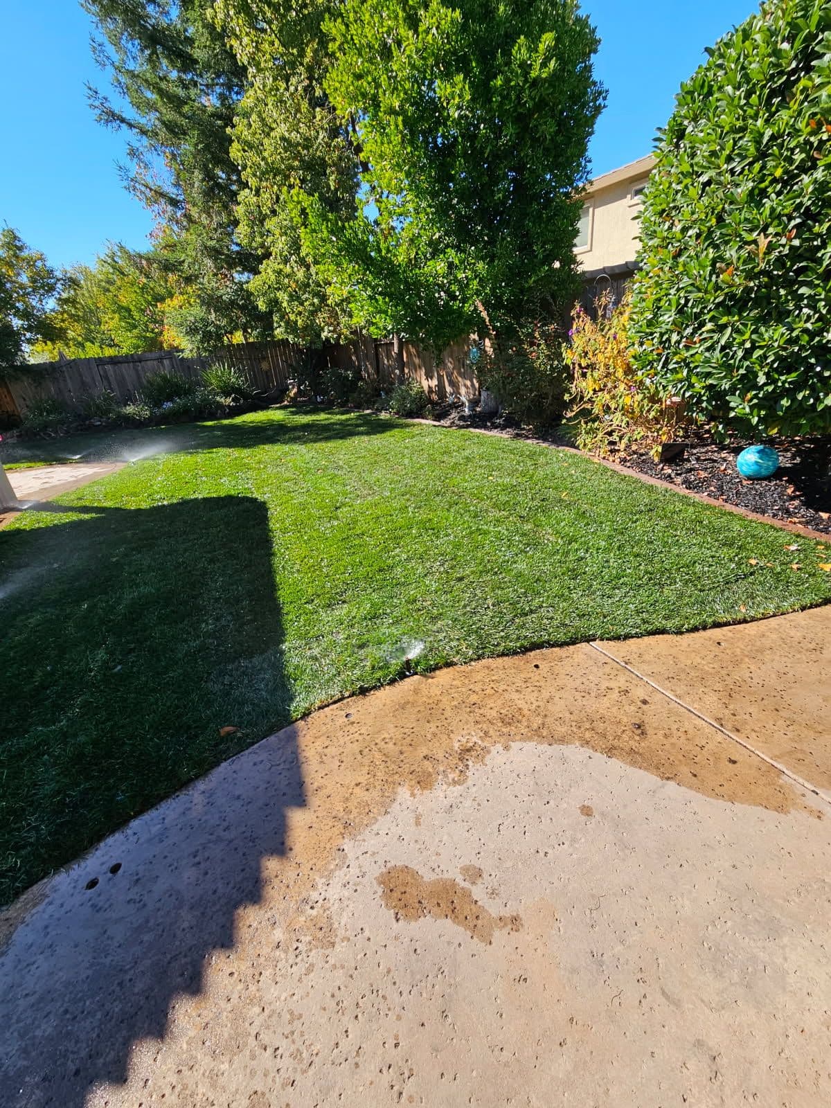 Gallery photos for Backyard Transformation with New Irrigation System: Image #1