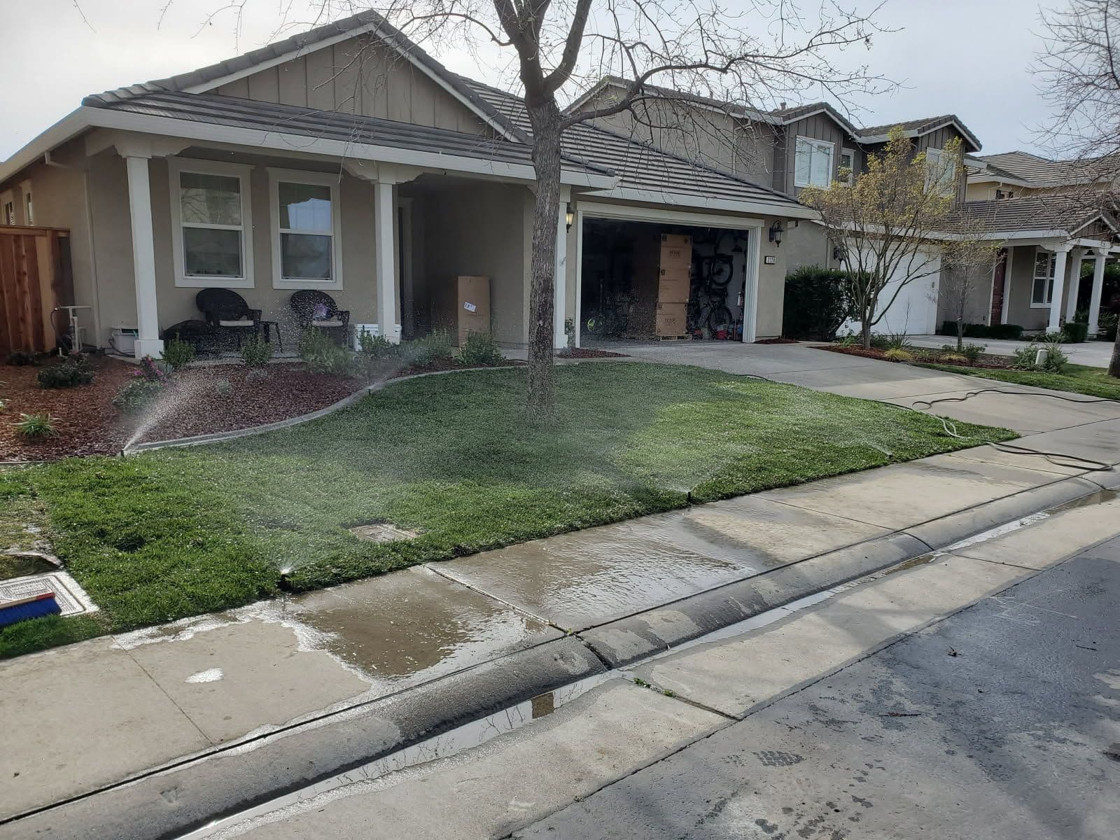Stunning Yard Transformation in Action image