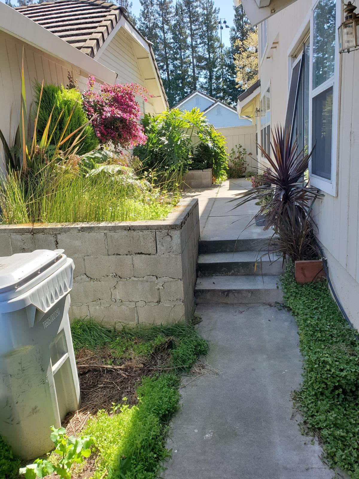 Stunning Walkway Revamp in Suburban Backyard image
