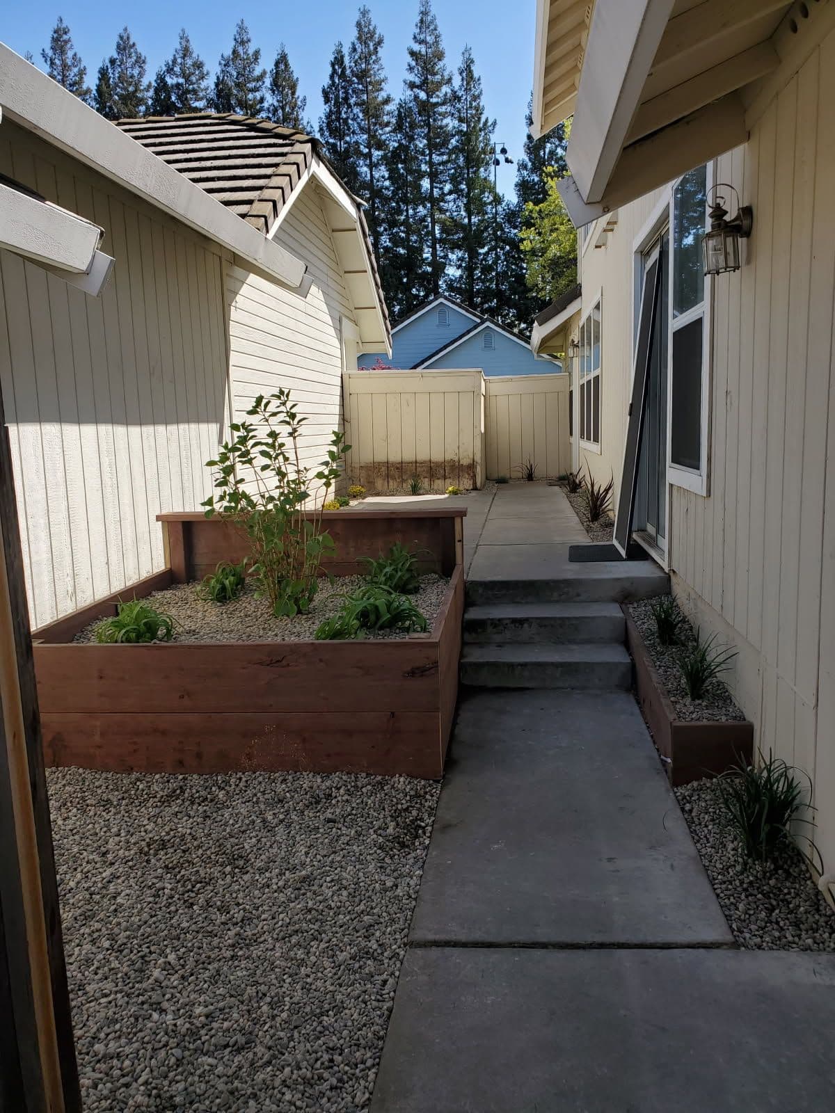 Gallery photos for Stunning Walkway Revamp in Suburban Backyard: Image #1