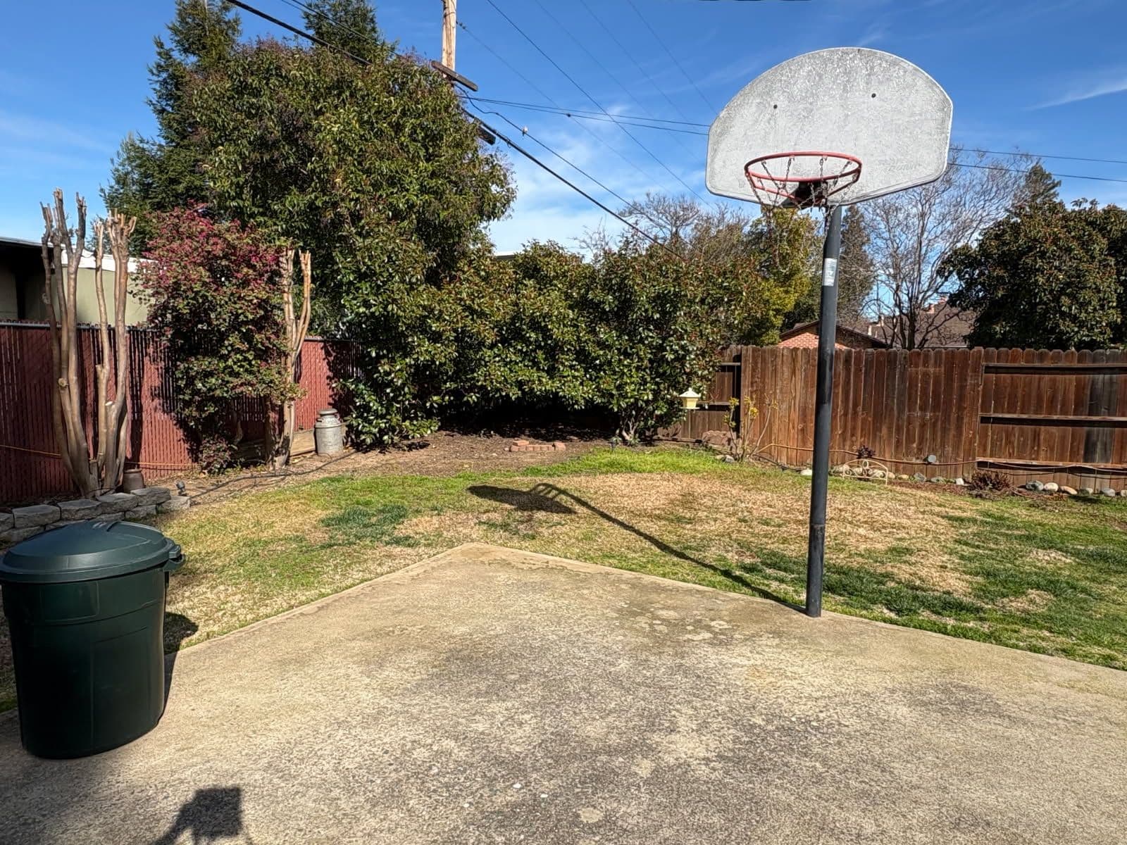 Backyard Transformation with Lighting and New Lawn image