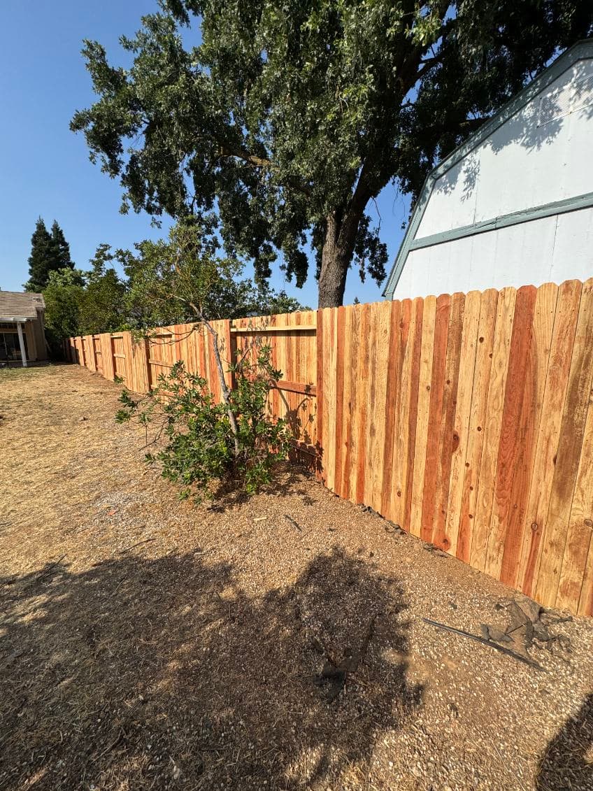 Gallery photos for Backyard Fence Revamp in [City Name]: Image #1