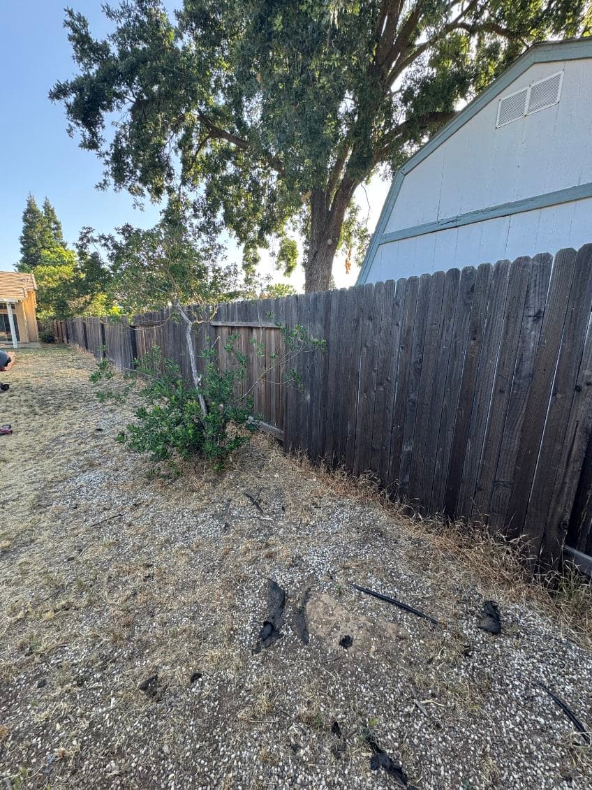Gallery photos for Backyard Fence Revamp in [City Name]: Image #3
