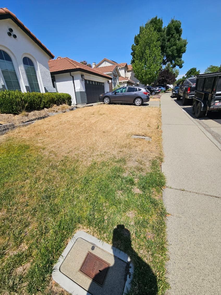 Project Revitalize Your Lawn with Expert Sod Installation image