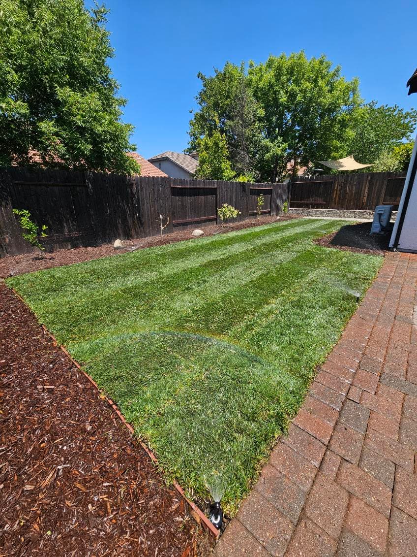 Gallery photos for Revitalize Your Lawn with Expert Sod Installation: Image #3