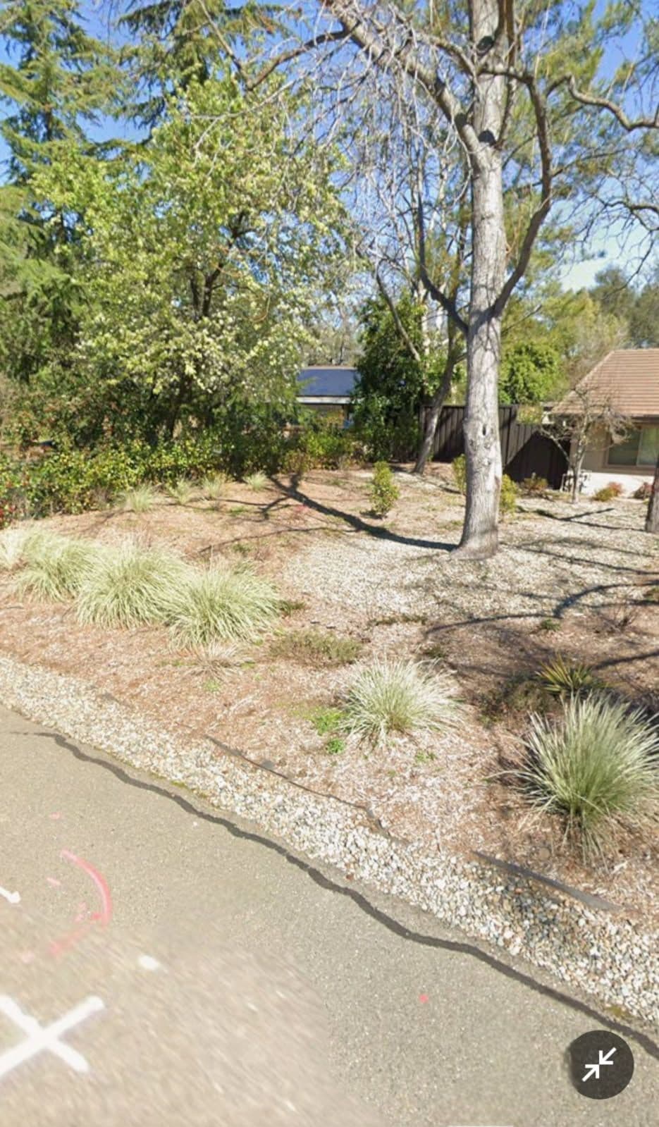 Gallery photos for Transformative Stepping Stone Garden Path: Image #1